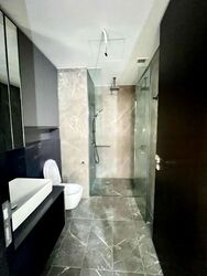 Irwell Hill Residences (D9), Apartment #455595041